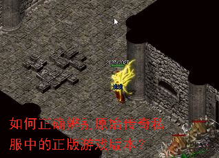 �����ȷ���ԭʼ����˽���е�������Ϸ�汾��