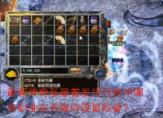 ���´���˽���׷����а�����Щְҵ�ڿ����׶�����㣿