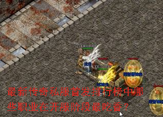 ���´���˽���׷����а�����Щְҵ�ڿ����׶�����㣿