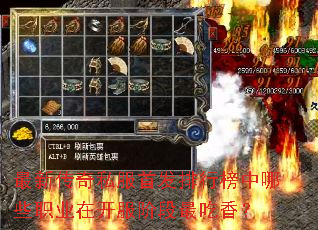 ���´���˽���׷����а�����Щְҵ�ڿ����׶�����㣿