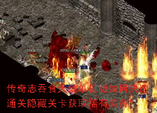 ����־��ʳ��ص�������ο���ͨ�����عؿ���ȡϡ��װ����