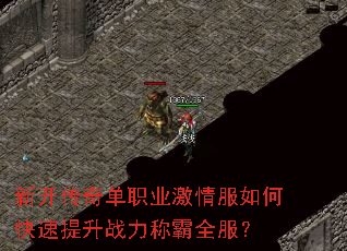 �¿����浥ְҵ�������ο�������ս���ư�ȫ����