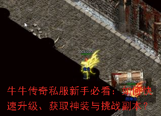 ţţ����˽�����ֱؿ�����ο�����������ȡ��װ����ս������