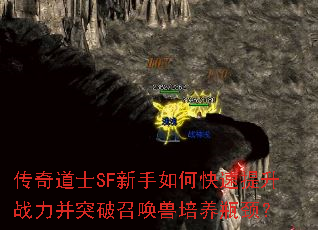 �����ʿSF������ο�������ս����ͻ���ٻ�������ƿ����