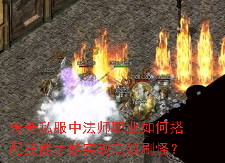 ����˽���з�ʦְҵ��δ��似�ܲ���ʵ�ָ�Чˢ�֣�