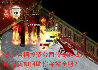 ʢ�����Ͷ�ʹ�˾������Ϸ�����ؼ��������ư�ȫ����