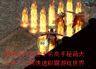 �������а�ǰʮ�������ؼ��󹫿�����ο��ٳư���Ϸ����