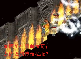 ���ǰ����Ѫ���������߾��Ĵ���˽����
