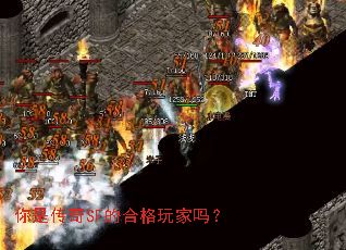 ���Ǵ���SF�ĺϸ������