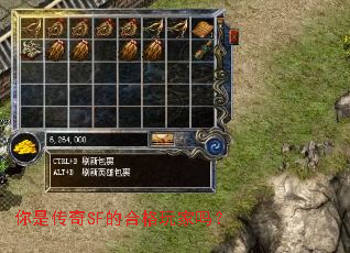 ���Ǵ���SF�ĺϸ������