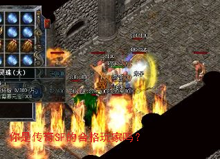 ���Ǵ���SF�ĺϸ������
