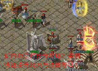 ���ڹ���ʦ���湥�ԣ���ο�������ս���뼼�ܵȼ���