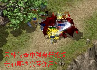 ��������ǿ���ȼ���������Щʵ�����ã�