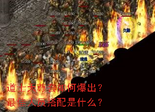 ��ʿ��������α����������Ա������ʲô��