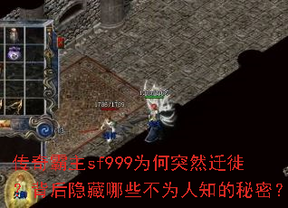 �������sf999Ϊ��ͻȻǨ�㣿����������Щ��Ϊ��֪�����ܣ�