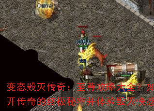 ��̬�����棺�����Դ�ȫ����νҿ�������ռ����ܲ���������У�