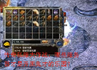 ����˽������ս����Щ���������ǿ��ڹ��ŵ���԰��