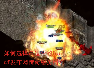 ���ѡ�����ʺϵ�haosf�����������������