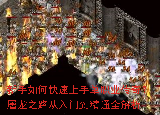 ������ο������ֵ�ְҵ���棿����֮·�����ŵ���ͨȫ����