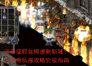 ��Ϯ�����������ն�������Ĵ���˽�����Ծ���ָ��