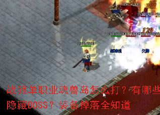 ս�ǵ�ְҵ���޵���ô������Щ����BOSS��װ������ȫ֪��