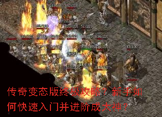 �����̬���ռ����ԣ�������ο������Ų����׳ɴ���