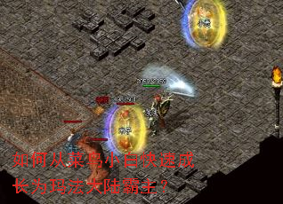 ��δӲ���С�׿��ٳɳ�Ϊ�귨��½������