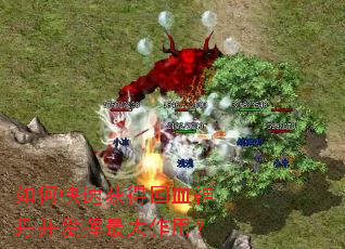 ��ο��ٻ�û�Ѫ�񵤲�����������ã�