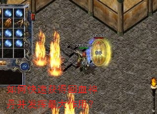 ��ο��ٻ�û�Ѫ�񵤲�����������ã�