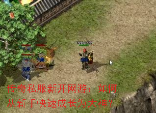 传奇私服新开网游:如何从新手快速成长为大神? 传奇私服新开网游:如何从新手快速成长为大神?