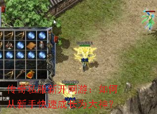 传奇私服新开网游:如何从新手快速成长为大神? 传奇私服新开网游:如何从新手快速成长为大神?
