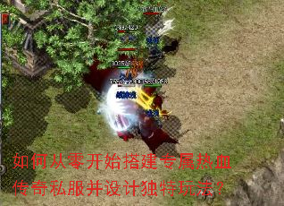 ��δ��㿪ʼ�ר����Ѫ����˽������ƶ����淨��