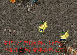 卓越东洋刀13攻略:如何快速提升实力?新手必看技巧 卓越东洋刀13攻略:如何快速提升实力?新手必看技巧