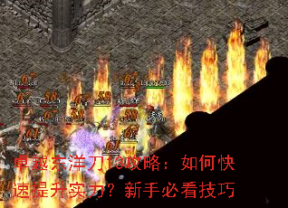 卓越东洋刀13攻略:如何快速提升实力?新手必看技巧 卓越东洋刀13攻略:如何快速提升实力?新手必看技巧
