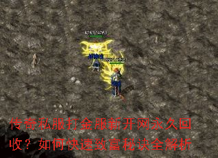 传奇私服打金服新开网永久回收?如何快速致富秘诀全解析 传奇私服打金服新开网永久回收?如何快速致富秘诀全解析