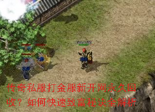 传奇私服打金服新开网永久回收?如何快速致富秘诀全解析 传奇私服打金服新开网永久回收?如何快速致富秘诀全解析