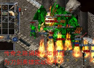 ����֮·���أ���γ�Ϊ����Ӣ��ʵս���֣�