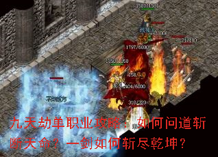 ����ٵ�ְҵ���ԣ�����ʵ�ն��������һ�����ն��Ǭ����