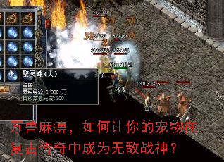 ������ԣ��������ĳ����ڸ��Ŵ����г�Ϊ�޵�ս��