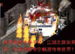 ������Ŀ����ƽ̨������֮·��ο�����רҵ���Դ��㳩�δ������磿