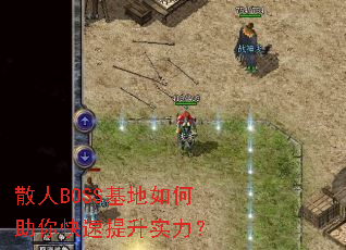 ɢ��BOSS������������������ʵ����