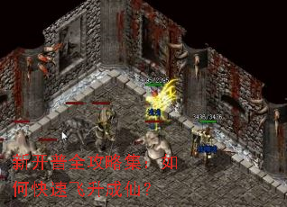 新开普全攻略集:如何快速飞升成仙? 新开普全攻略集:如何快速飞升成仙?