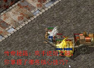 传奇秘籍:高手进阶之路,你掌握了哪些核心技巧? 传奇秘籍:高手进阶之路,你掌握了哪些核心技巧?