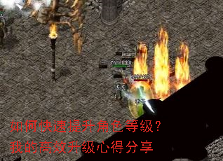 如何快速提升角色等级?我的高效升级心得分享 如何快速提升角色等级?我的高效升级心得分享