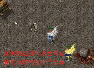 如何快速提升角色等级?我的高效升级心得分享 如何快速提升角色等级?我的高效升级心得分享