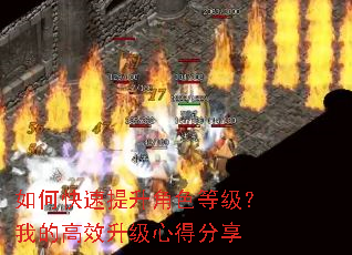 如何快速提升角色等级?我的高效升级心得分享 如何快速提升角色等级?我的高效升级心得分享