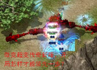 ΢�䳬�䴫���·�������������������һ����
