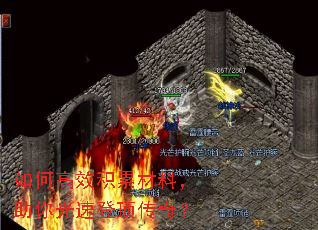 ��θ�Ч���۲��ϣ�������ٵǶ����棿