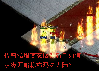 传奇私服变态版?新手如何从零开始称霸玛法大陆? 传奇私服变态版?新手如何从零开始称霸玛法大陆?