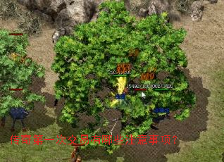 �����һ�ν�������Щע�����